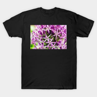 Star of Persia flower T-Shirt